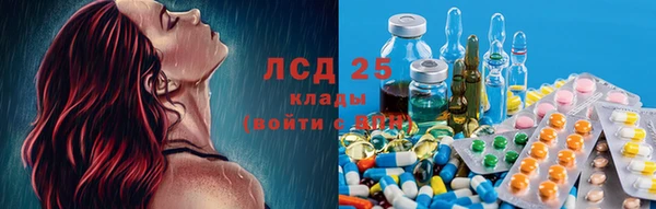 ГАЛЛЮЦИНОГЕННЫЕ ГРИБЫ Балахна