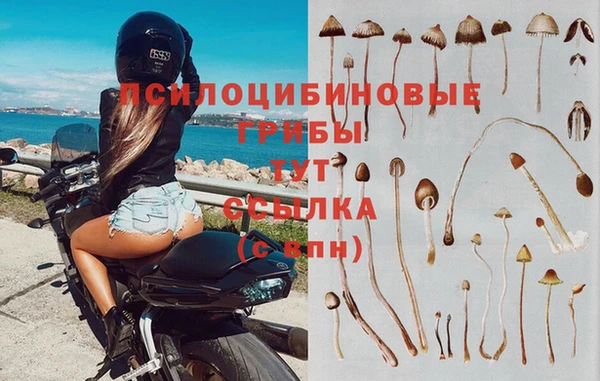 метадон Арсеньев