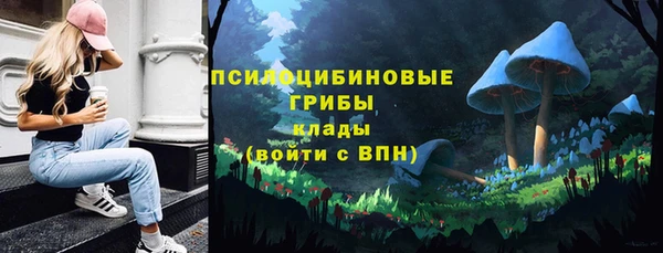 метадон Арсеньев