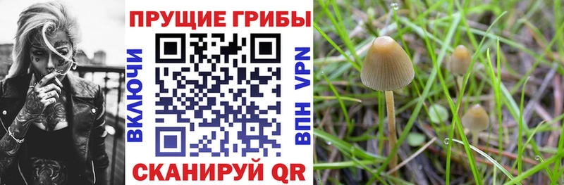 Галлюциногенные грибы Cubensis  Реутов 
